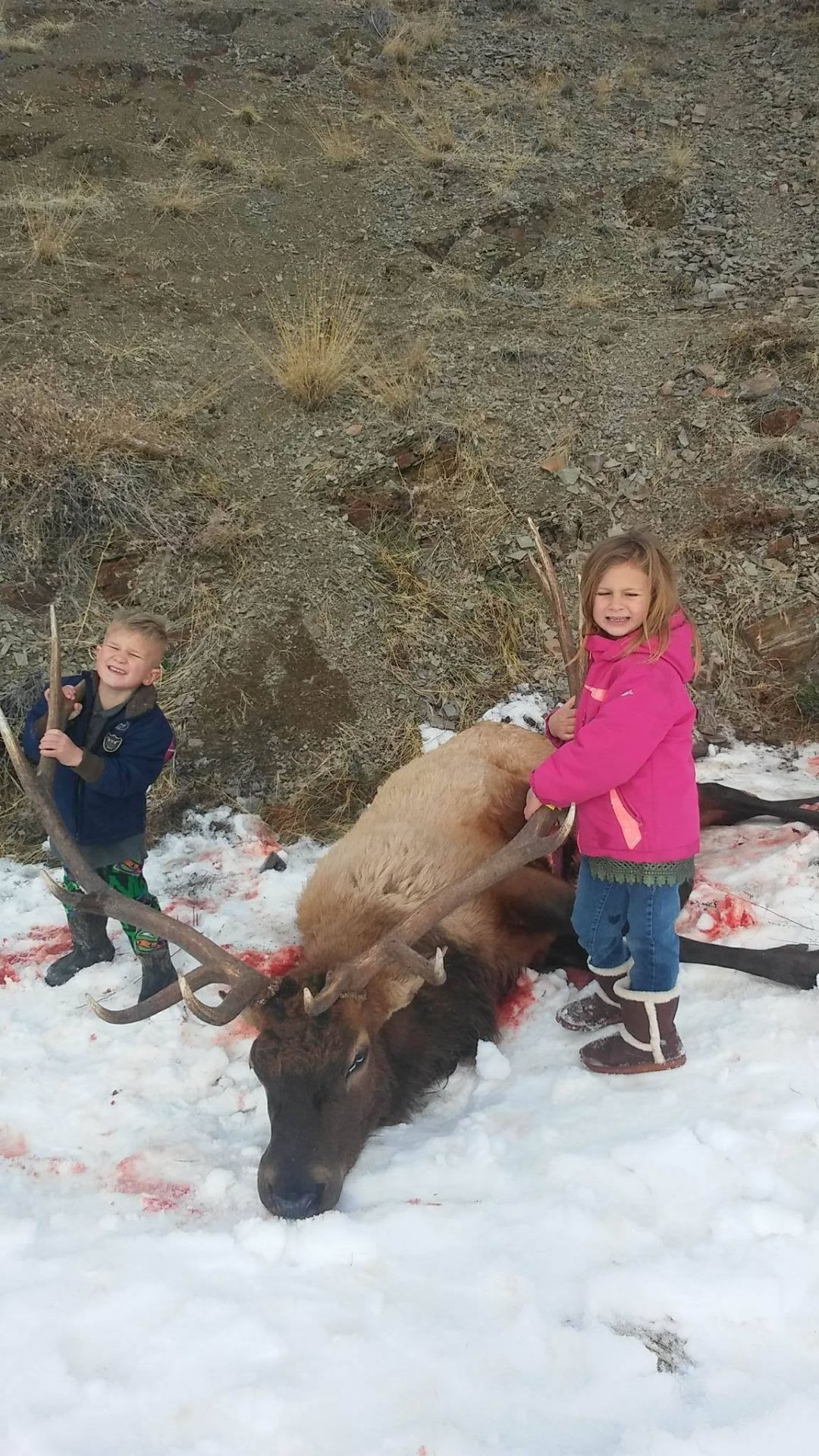 Hunting trophy